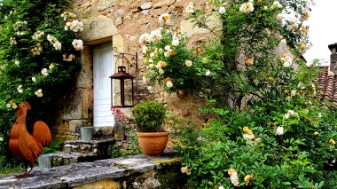Le rosier tout en fleurs du pigeonnier de notre chambre d'hôtes en Dordogne -Le Clos Lascazes -